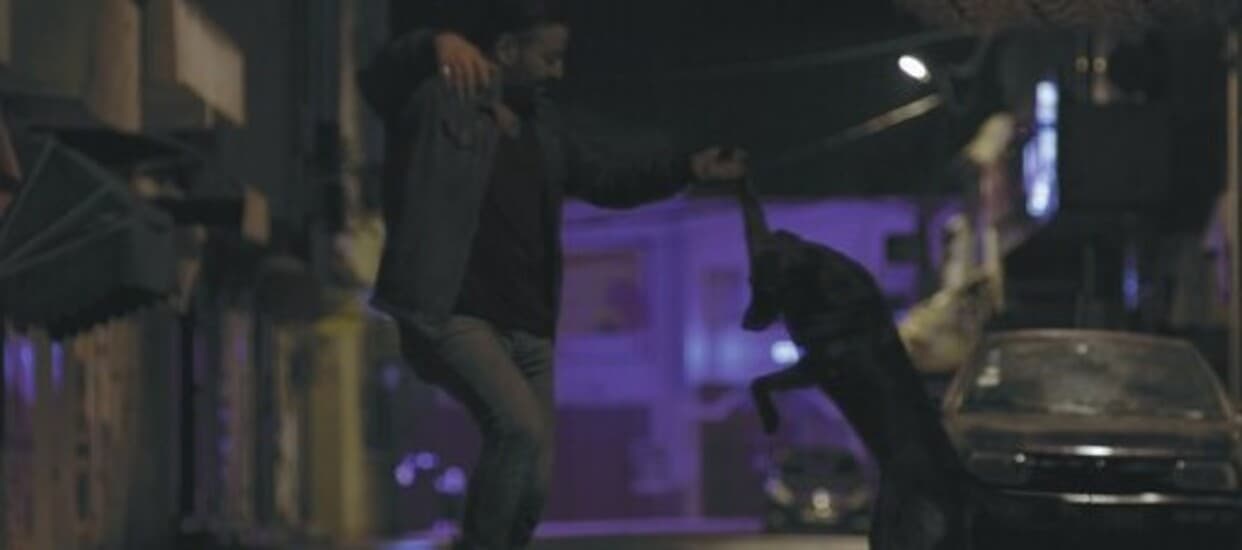 banner