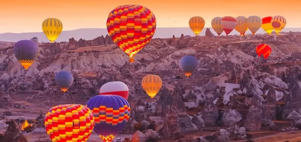 Hot air Balloon  - Purple Pineapple Pot
