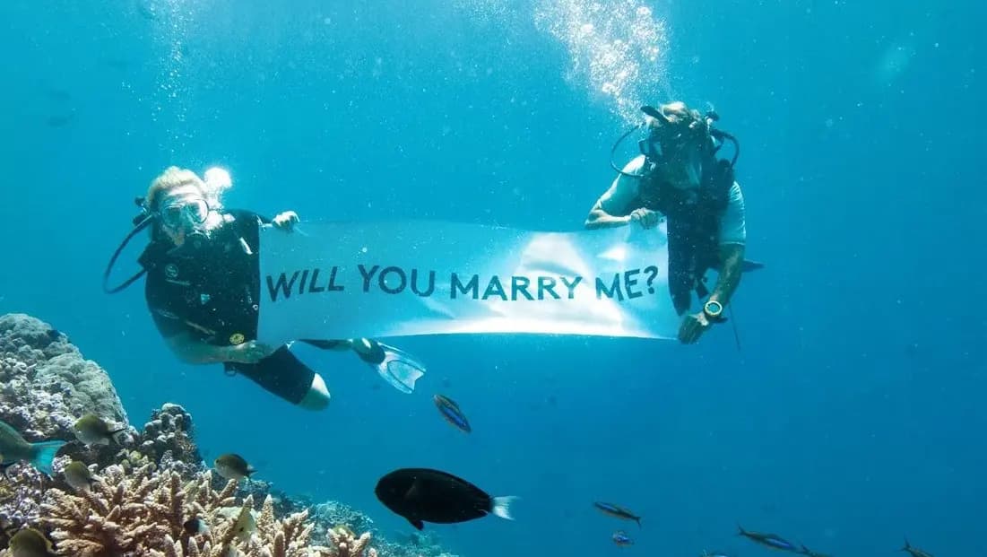Proposal under water - Purple Pineapple Pot