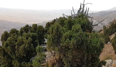 Barka Getaway – Juniper Kingdom Overnight with Vamos Todos 