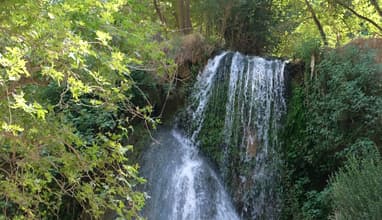 Bsetine el Ossi Waterfalls Escape with Vamos Todos