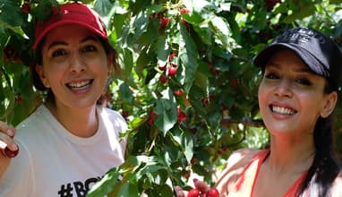 Cherry Picking & Village Discovery with Vamos Todos