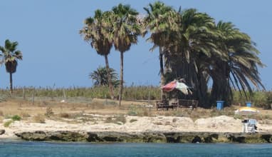 Palms Island & El Mina Cultural Tour with Vamos Todos