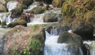 Mar Licha Annoubine Hike with Vamos Todos