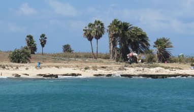 Palms Island & El Mina Tour with Vamos Todos