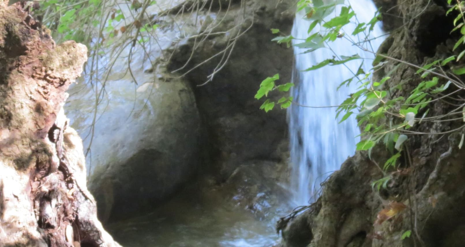Serjbel Hike with Vamos Todos