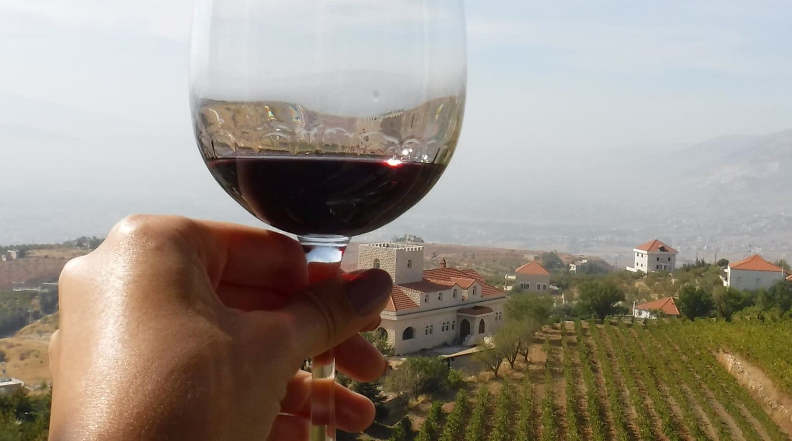 Wine Tour Bekaa with Vamos Todos