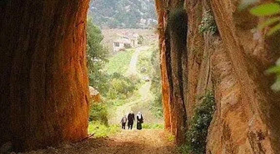 Kfarmatta to Jeser El Ade Eco Hike with Vamos Todos
