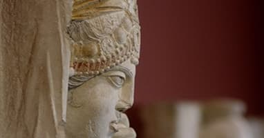 The 1001 Faces of Palmyra by Meyar Al Roumi