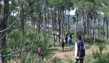 Bkassine Wadi Jezzine Hike with Vamos Todos