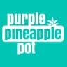 Purple Pineapple Pot