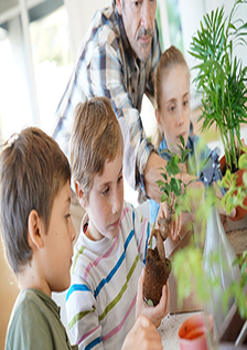 Planting Workshop for Kids - Purple Pineapple Pot